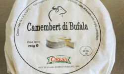 L'Atelier des Gourmets - Camembert di Bufala