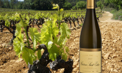 Château Saint Estève d'Uchaux - Cuvée Thérèse 2019 Blanc sec BIO - Vieilles Vignes de Viognier - AOP Côtes du Rhône Villages