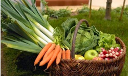 Au bon Jardinet - Panier de fruits & légumes de saison 10kg + petit cadeau :)