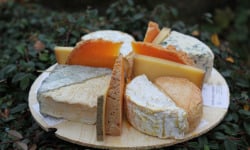 La Finarde - Plateau grande tablée - 10 fromages incontournables et originaux