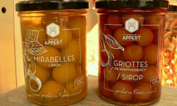 Monsieur Appert - Lot Mirabelle - Griottes de Montmorency en sirop