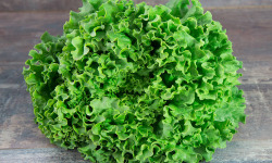 La Boite à Herbes - Lot De 2 Salade Batavia Verte Bio