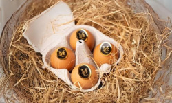 Compagnie Générale de Biscuiterie - Boite traditionnelle contenant 4 œufs façonnés en chocolat simulant des œufs durs