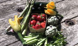 La Boite à Herbes - Panier légumes bio 2.5 kg