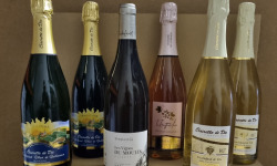 Domaine Truchefaud - Lot Découverte : Clairette de Die AOC, Vin Blanc IGP Drome, Mousseux Rosé