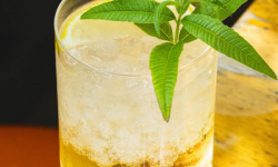 Necense - Préparation pour boisson - Limonade Grand Format - 2,7kg