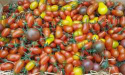 Le Pré de la Rivière - Mélange de tomates cerises 500g - Origine France