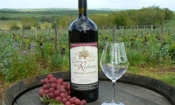 Château des Rochers - Magnum de vin rouge AOC 2005