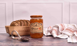 Fromage Gourmet - Confiture d'Abricot