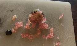 Le Jardin des Antipodes - Citron Caviar Aux Perles Rose Foncé  500g