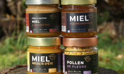 Merveille Apiculture - Coffret Miel - Noisettes -pollen