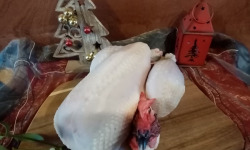 Les poulets de la Marquise - [Précommande] Chapon Fermier BIO - Moyen - 3,1kg minimum