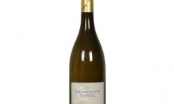 Domaine Tupinier Philippe - Bourgogne Chardonnay ''Vieilles Vignes''