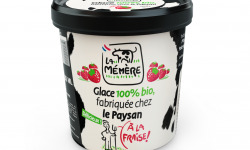 Les Glaces du Semnon - La Mémère - Glace au coulis de fraise 100% bio 500ml