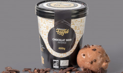 Mademoiselle Fayel - Crème Glacée Chocolat Noir Intense  - 100% Bio x4