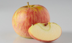 Les Côteaux Nantais - Pomme Rubine AB&Demeter -4kg