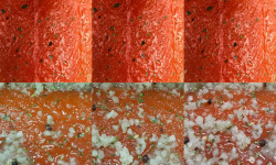 Lionel Durot - Gravlax de saumon biologique collection automne hiver