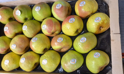 Le Châtaignier - Pomme reinette armorique 5 kg