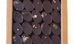 Mon jardin chocolaté - 24 Boîtes de 40 Chocolats Bio