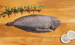 Côté Fish - Mon poisson direct pêcheurs - Sole