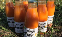 Délit de Gourmandise - Nectar d'abricots Bio - 6x75cl