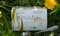 Laiterie du Climont - K-Philus - K-philus Offre Pro : 36 Lots De K-philus Brebis