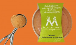 Eclat des cimes - Sorbet Abricot de la Drôme et romarin 440 ml