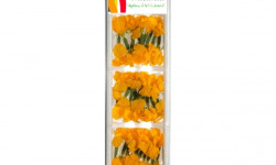 Maison Sales - Végétaux d'Art Culinaire - 10- Concombre Fleur - 30 Pièces