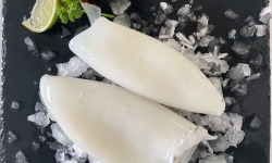 Notre poisson - Blanc de seiche - 500g
