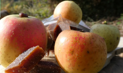 Terres En Vie - Pâtes de fruits à la Pomme Bio