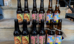 La Pendue : Univers Fermentaire - Coffret Découverte 3 boissons : Bières et Kombucha
