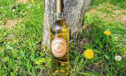 Domaine de Pilhoy - Vin Blanc AOC Bordeaux