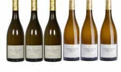 Domaine Tupinier Philippe - 3 Bouteilles Bourgogne Blanc Vieilles Vignes  2019 3 bouteilles Bourgogne Côte d'Auxerre Blanc 2019