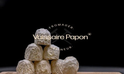 Vaissaire Papon Affineur - Fromager - Gaperon Mini Lait de Vache Pasteurisé_60g