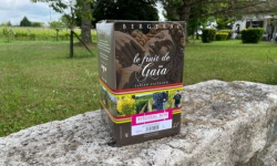 Vignobles Fabien Castaing - AOC Bergerac Rosé Le Fruit de Gaïa BiB - 5 litres