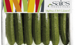 Maison Sales - Végétaux d'Art Culinaire - 11- Mini Courgette - 13 Pièces Minimum