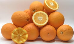 La Boite à Herbes - Orange Bio gros calibre  5 KG