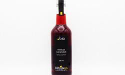 Hibiskus  Gourmet - Infusion Hibiscus Gingembre Bio - 6x33cl