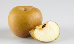 Les Côteaux Nantais - Pomme Reinette Grise du Canada AB&Demeter -4kg