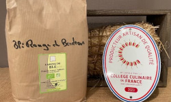 L'Atelier Contal - Paysan Meunier Biscuitier - Farine de Blé Rouge de Bordeaux Bio - 5kg