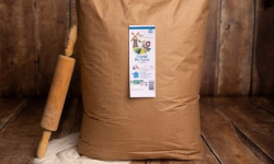 Sur Nos Terres - Farine blé tendre T130 bio - 25kg