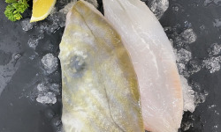 Notre poisson - Filet de Saint Pierre - 1kg