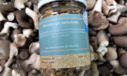Les champignons de Vernusse - Pleurotes déshydratés - 35g