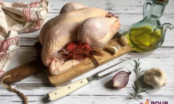 Les poulets de la Marquise - [surgelé] Petit poulet fermier BIO 1,5 kg à 1,8 kg