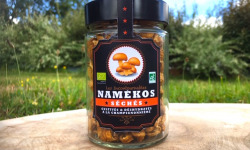 Les champignons du Loc'h - Namékos Bio séchés - 25g