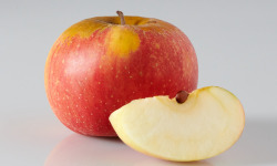 Les Côteaux Nantais - Pomme Reine des Reinettes AB&Demeter -4kg