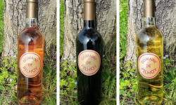 Domaine de Pilhoy - Offre 3 couleurs - Vin AOC Bordeaux x6