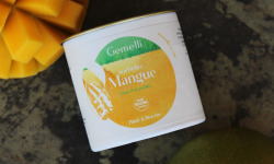 Gemelli - Gelati & Sorbetti - Sorbet Mangue sans sucre 12x100ml