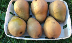 EARL Fruits du Maumont - Toutifruits - Poires Bio Éliot - 1kg