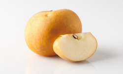 Les Côteaux Nantais - Pomme patte de loup AB&Demeter - 2.5kg